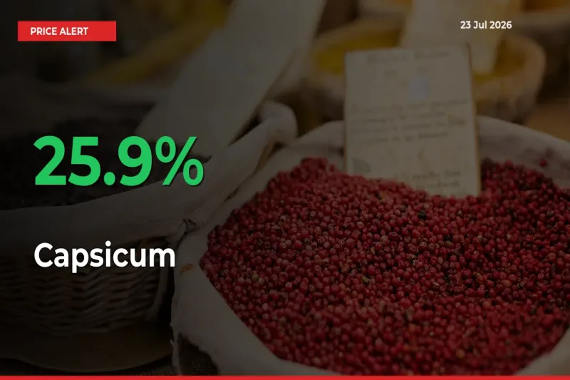 Farmers Cheer as Capsicum Prices Surge 25.9% in Local Mandis