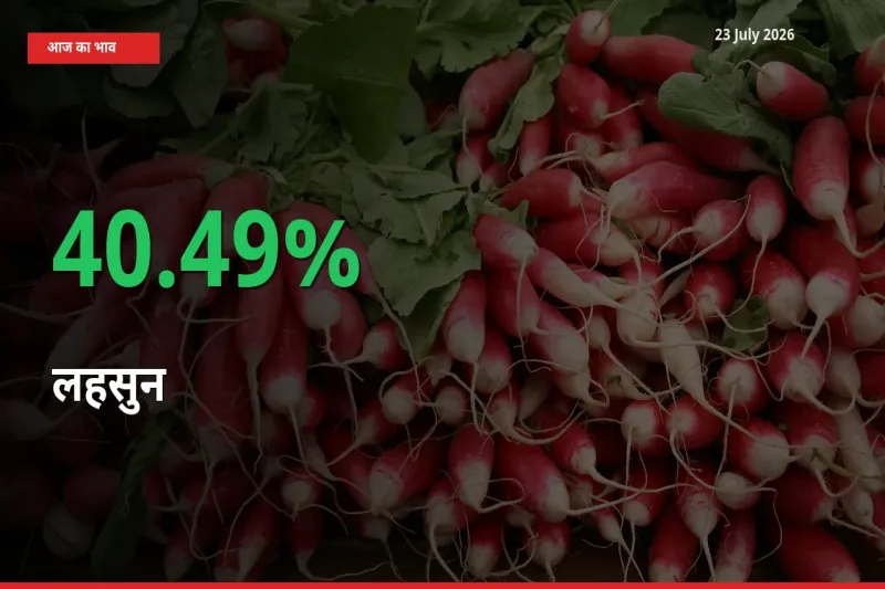 स्थानीय मंडी में लहसुन के दाम अचानक 40.49% उछले, किसान सतर्क