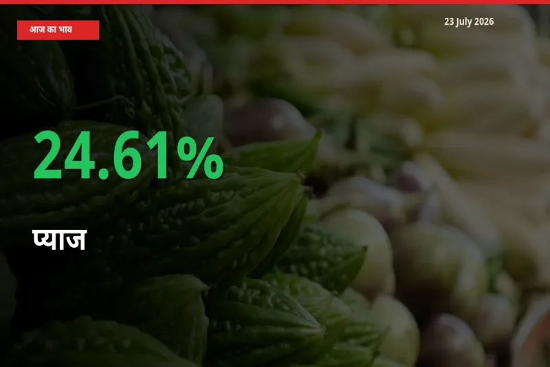 आज का मंडी भाव: प्याज के दाम मंडी में 24.61% ऊपर