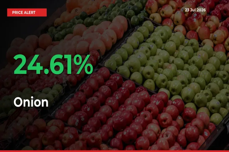 Sudden 24.61% Rally in Onion Prices Across Mandis
