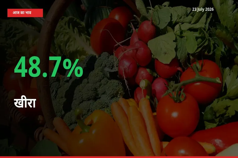 आज का मंडी भाव: खीरा के दाम मंडी में 48.7% ऊपर