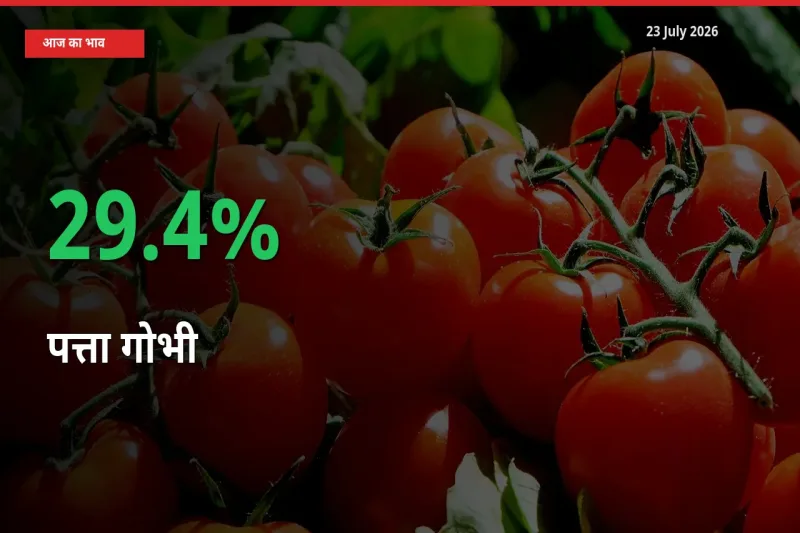 पत्ता गोभी 29.4% उछला, मंडी