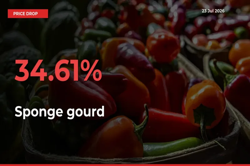 Sponge gourd Mandi Rate Today: Prices Fall 34.61% at Market