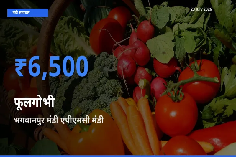 किसानों की पसंद बना भगवानपुर मंडी एपीएमसी, फूलगोभी के सबसे अच्छे दाम
