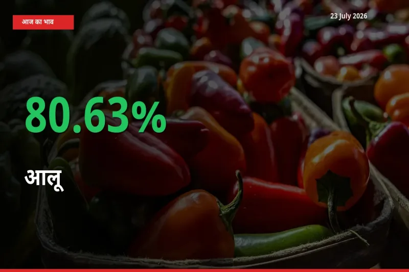 अचानक तेजी! मंडी में आलू के दाम 80.63% चढ़े