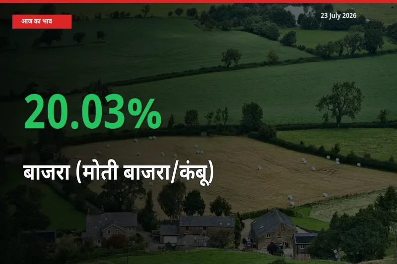 तेज़ तेजी! मंडी में बाजरा (मोती बाजरा/कंबू) के दाम 20.03% चढ़े