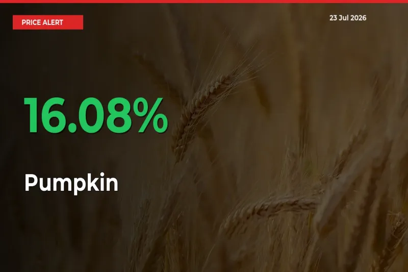 Pumpkin Mandi Rate Today: Prices Jump 16.08% at Market