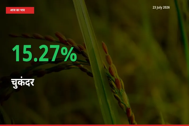 अचानक तेजी! मंडी में चुकंदर के दाम 15.27% चढ़े