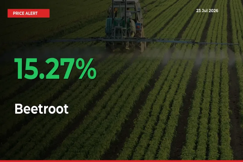 Beetroot Mandi Rate Today: Prices Jump 15.27% at Market