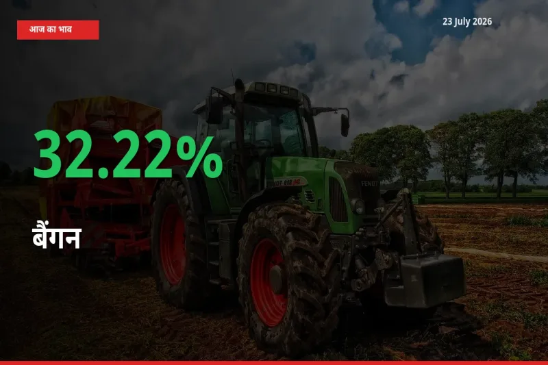 स्थानीय मंडी में बैंगन के दाम अचानक 32.22% उछले, किसान सतर्क