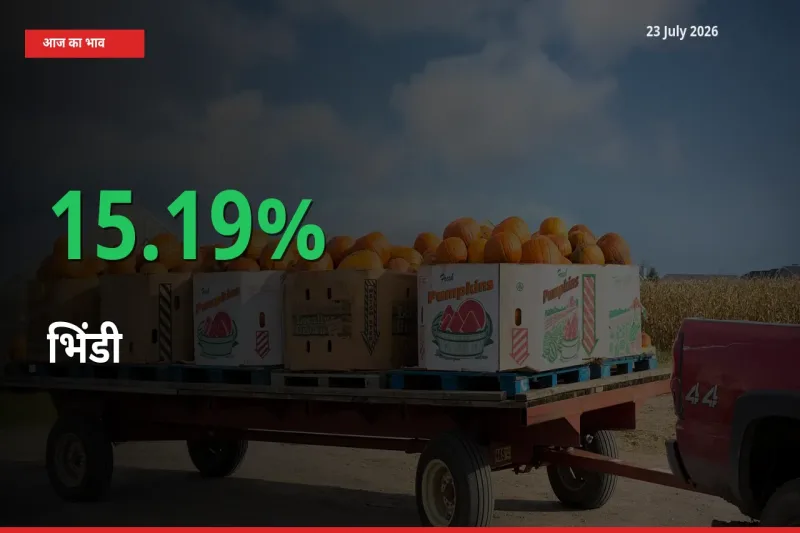 स्थानीय मंडी में भिंडी के दाम अचानक 15.19% उछले, किसान सतर्क