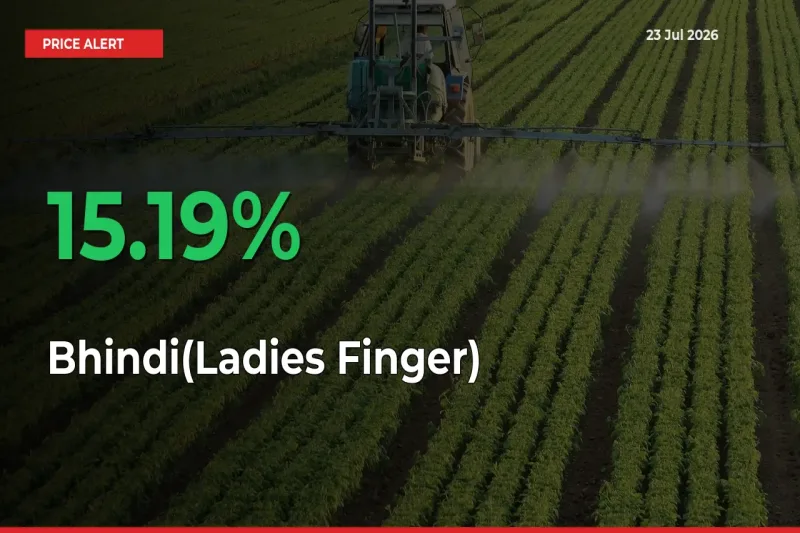Farmers Cheer as Bhindi(Ladies Finger) Prices Surge 15.19% in Local Mandis