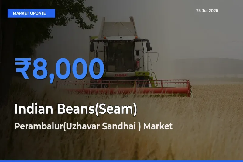 Perambalur(Uzhavar Sandhai ) Offers ₹8,000 – Highest Indian Beans(Seam) Rate Today