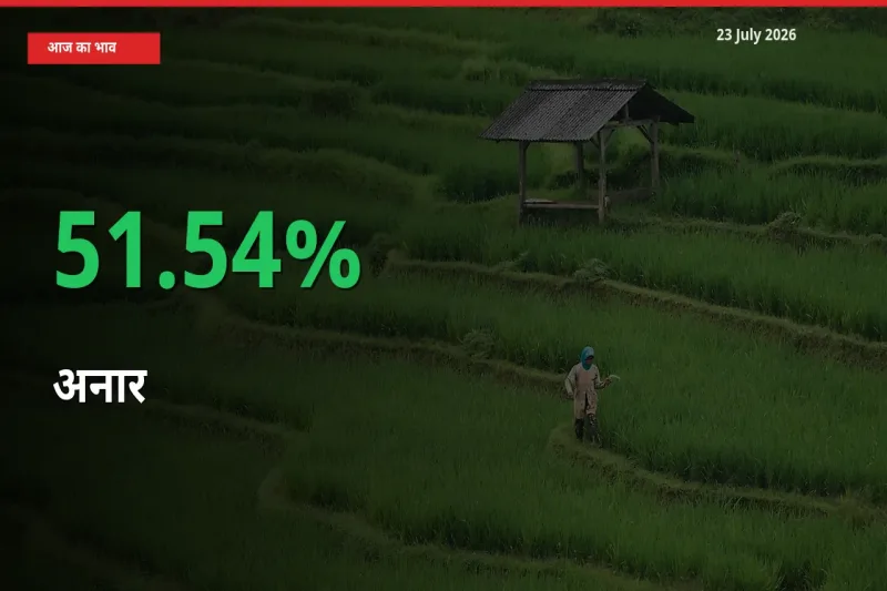 स्थानीय मंडी में अनार के दाम अचानक 51.54% उछले, किसान सतर्क