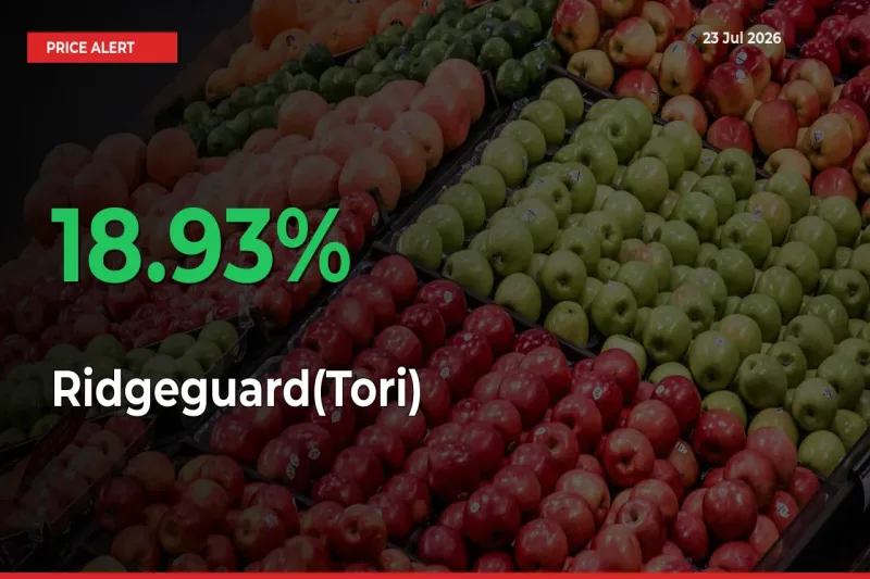 Big Rally! Ridgeguard(Tori) Climbs 18.93% in 24 Hours at Top Mandis
