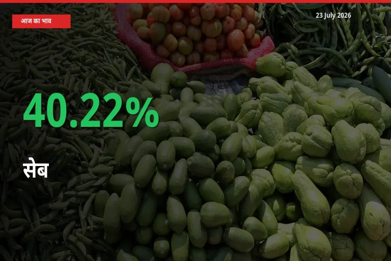 सेब 40.22% उछला, मंडी