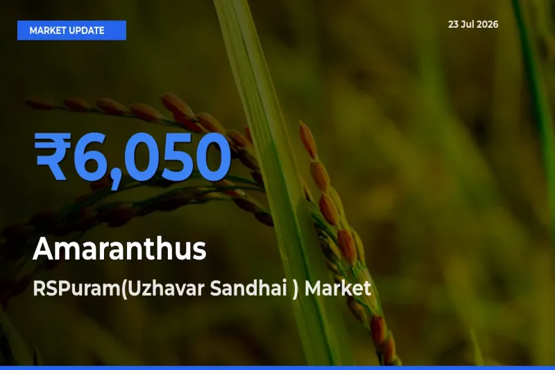 RSPuram(Uzhavar Sandhai ) Emerges as Top Mandi for Amaranthus Prices Today