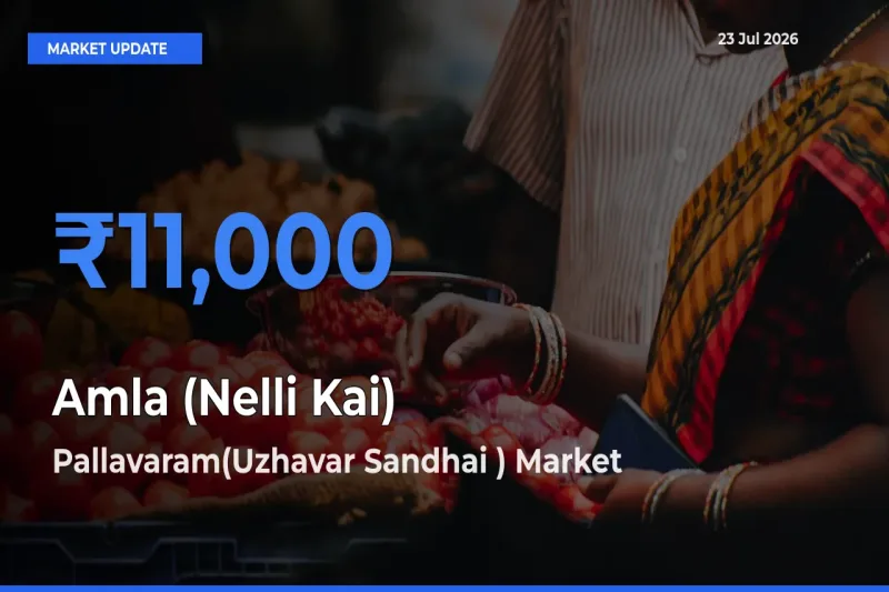 Farmers Prefer Pallavaram(Uzhavar Sandhai ) as Amla (Nelli Kai) Hits Highest Rate
