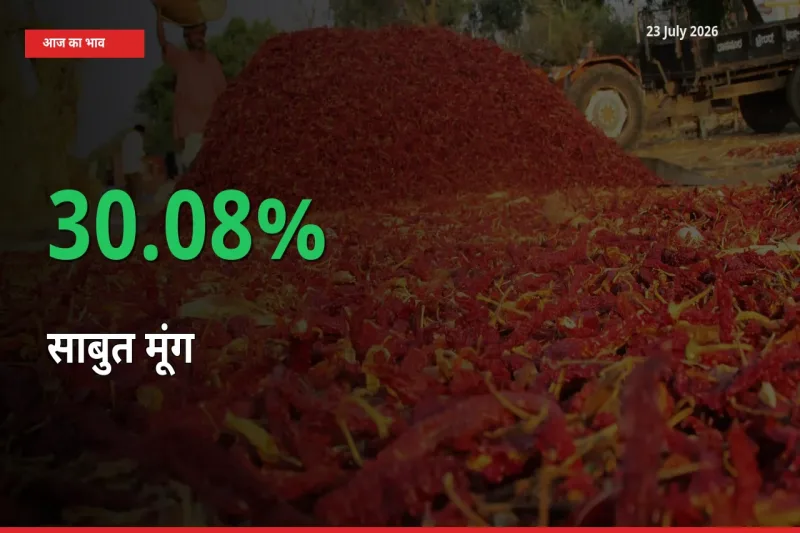 साबुत मूंग के दाम प्रमुख मंडी में 30.08% बढ़े, 24 घंटे में बड़ा बदलाव
