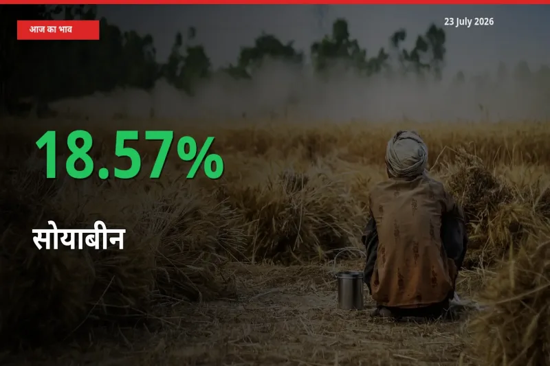 अचानक तेजी! मंडी में सोयाबीन के दाम 18.57% चढ़े