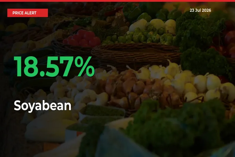 18.57% Spike in Soyabean Prices – Mandi Sees Sudden Rally
