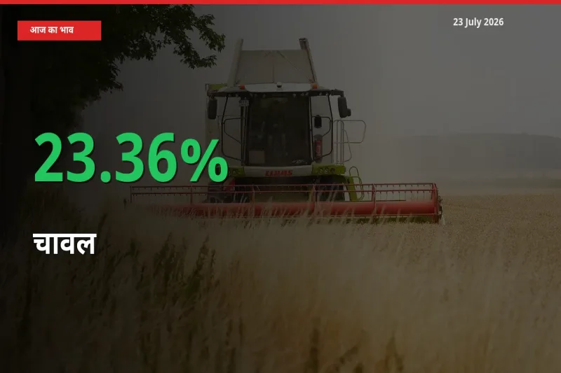 चावल के दाम प्रमुख मंडी में 23.36% बढ़े, 24 घंटे में बड़ा बदलाव