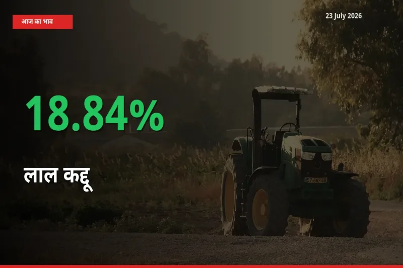 लाल कद्दू 18.84% उछला, मंडी