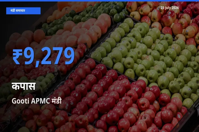 Gooti APMC मंडी में कपास ₹9,279 पर पहुँचा – आज का सर्वोच्च भाव