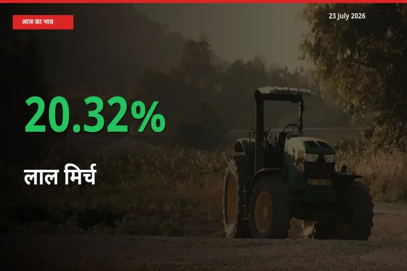 तेज़ तेजी! मंडी में लाल मिर्च के दाम 20.32% चढ़े