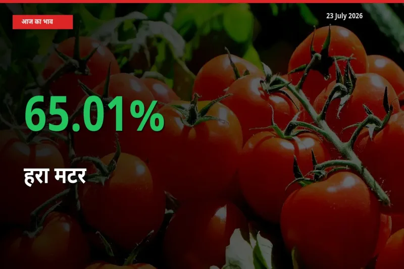 बाज़ार संकेत: हरा मटर के भाव मंडी में 65.01% ऊपर