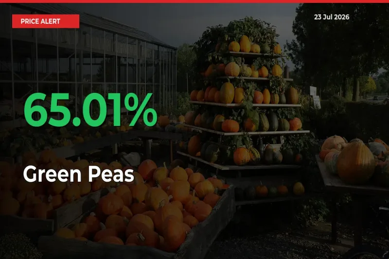 Sudden 65.01% Rally in Green Peas Prices Across Mandis