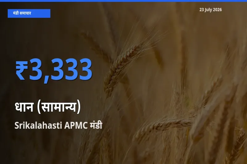 आज धान (सामान्य) के सबसे ज़्यादा दाम Srikalahasti APMC मंडी में दर्ज