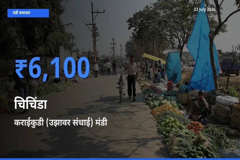 आज चिचिंडा के सबसे ज़्यादा दाम कराईकुडी (उझावर संधाई) मंडी में दर्ज