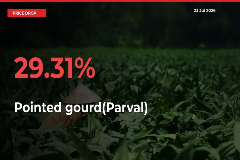 Sharp Fall! Pointed gourd(Parval) Prices Plunge 29.31% in a Day at Key Mandis