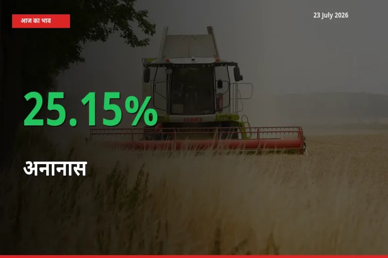 अनानास के दाम प्रमुख मंडी में 25.15% बढ़े, 24 घंटे में बड़ा बदलाव