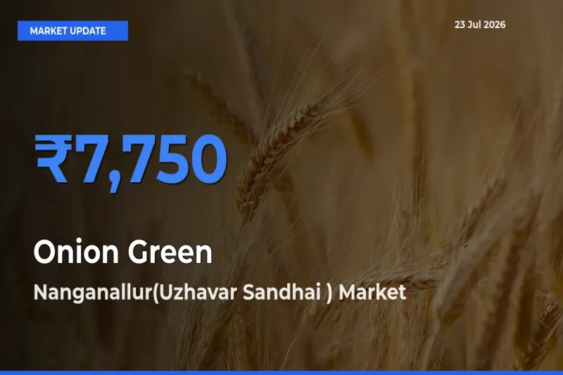 Onion Green Mandi Rate Today: Nanganallur(Uzhavar Sandhai ) Tops the List