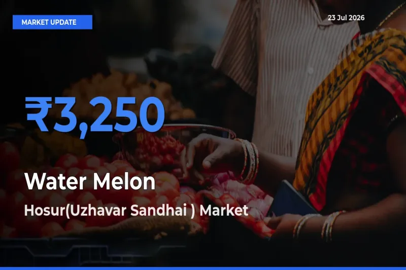 Water Melon Mandi Rate Today: Hosur(Uzhavar Sandhai ) Tops the List