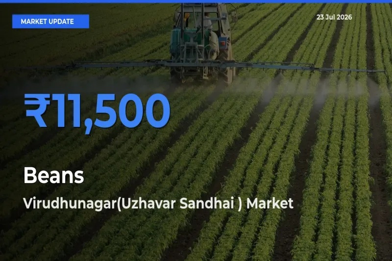 Virudhunagar(Uzhavar Sandhai ) Emerges as Top Mandi for Beans Prices Today