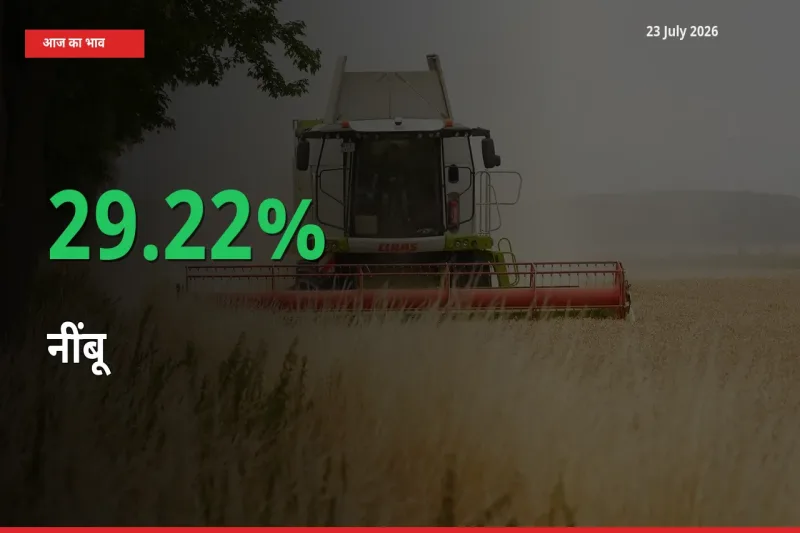 अचानक तेजी! मंडी में नींबू के दाम 29.22% चढ़े