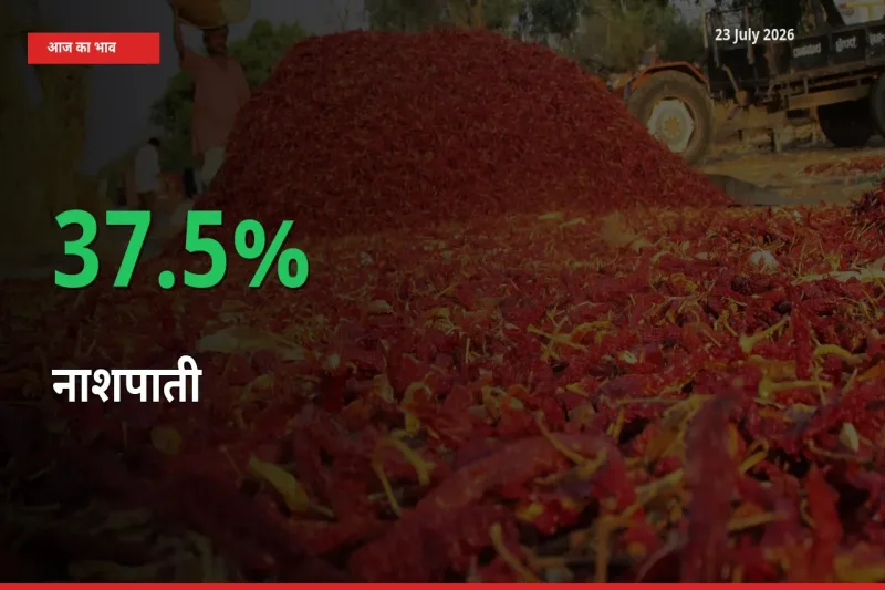 नाशपाती 37.5% उछला, मंडी