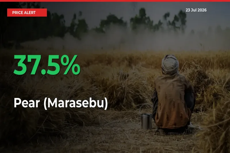 Sharp Jump! Pear (Marasebu) Prices Climb 37.5% in 24 Hours at Key Mandis