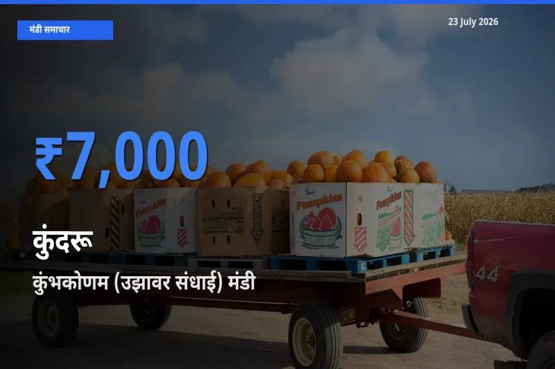 बाज़ार संकेत: कुंभकोणम (उझावर संधाई) बना कुंदरू के लिए आज की टॉप मंडी