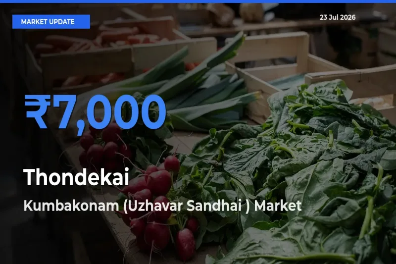 Market Watch: Kumbakonam (Uzhavar Sandhai ) Becomes Top Mandi for Thondekai
