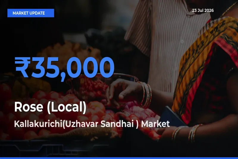 Rose (Local) Mandi Rate Today: Kallakurichi(Uzhavar Sandhai ) Tops the List
