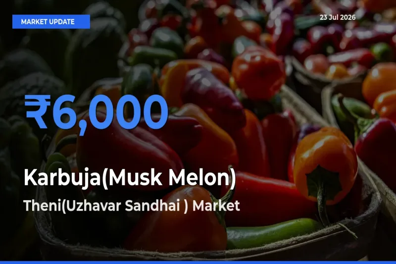 Farmers Prefer Theni(Uzhavar Sandhai ) as Karbuja(Musk Melon) Hits Highest Rate