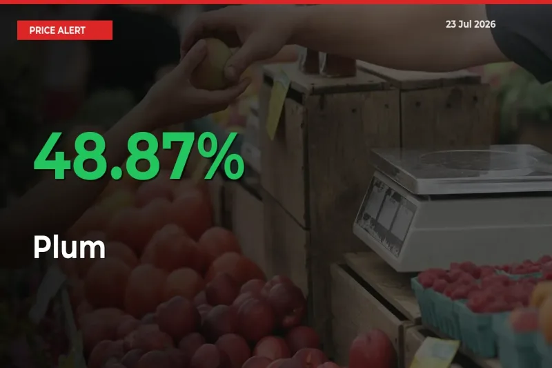 Farmers Cheer as Plum Prices Surge 48.87% in Local Mandis