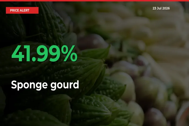 Big Rally! Sponge gourd Climbs 41.99% in 24 Hours at Top Mandis