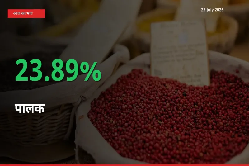 आज का मंडी भाव: पालक के दाम मंडी में 23.89% ऊपर