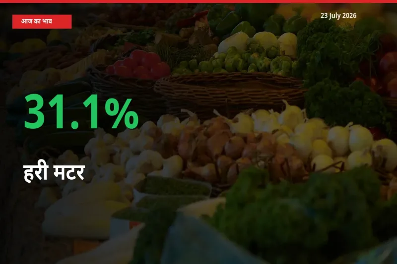 तेज़ तेजी! मंडी में हरी मटर के दाम 31.1% चढ़े