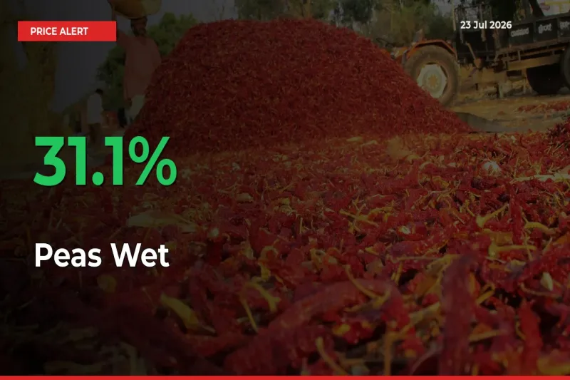 Why Peas Wet Prices Rose 31.1% in a Day at Mandis